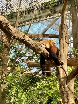 Kobe Zoo